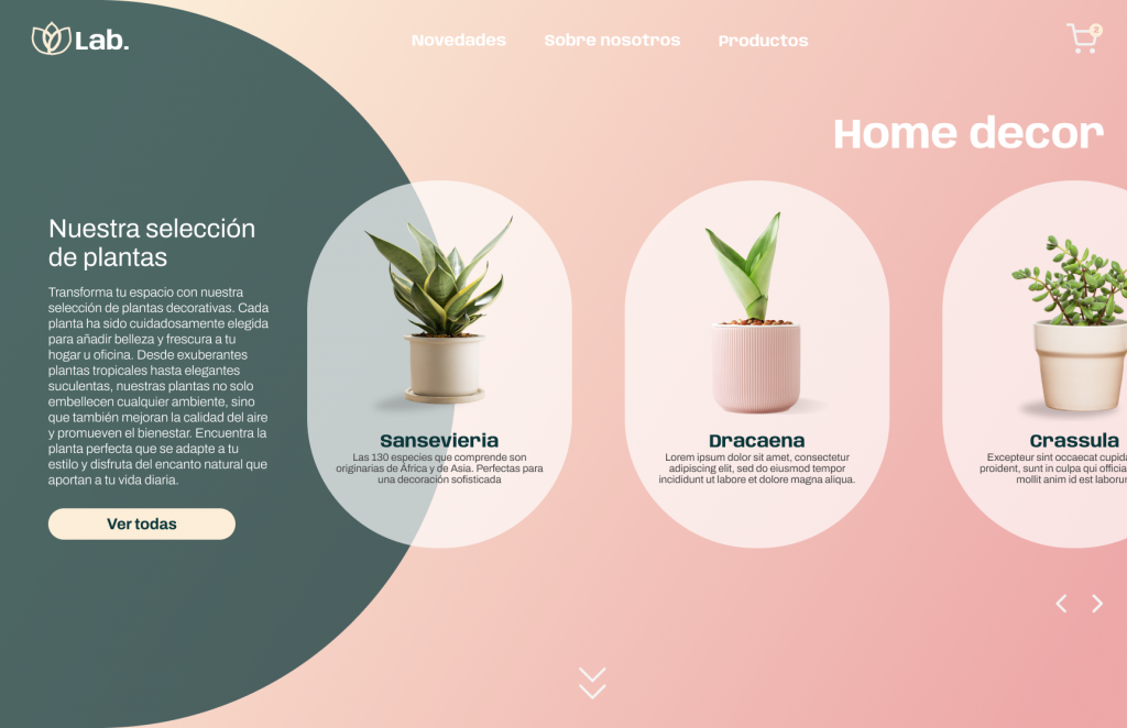 Imagen de ejemplo de un diseño web desarrollado por Quacklity donde se emplea el estilo "orgánico"